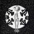 Magic Tuber Stringband: Tarantism -LP