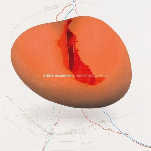 Stefan Goldmann: In Aggregate/Carob -LP