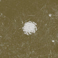 Bill Seaman and Stephen Vitiello: The Clear Distance - CD