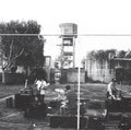 Royal Headache: Royal Headache - (VINYL LP)