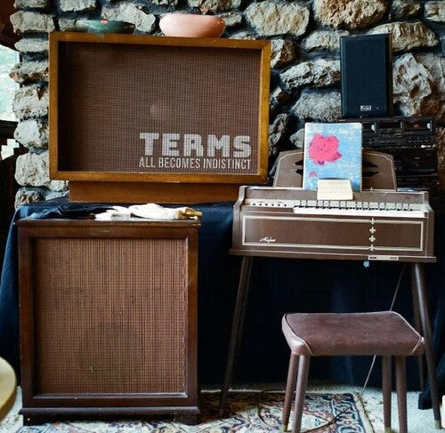 Terms: All Becomes Indistinct -LP