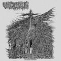 Vacuous: Dreams Of Dysphoria - COMPACT DISCS
