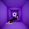 Olivia Jean: Raving Ghost - COMPACT DISCS