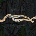 Animal Collective: Spirit They're Gone Spirit They've Vanished -LP