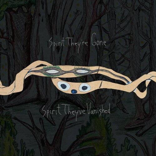 Animal Collective: Spirit They're Gone Spirit They've Vanished -LP