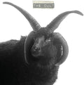 The Cult: The Cult -LP