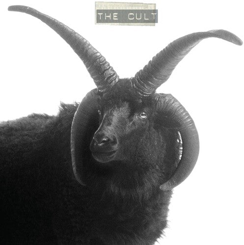 The Cult: The Cult -LP