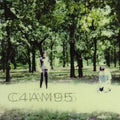 The Fucking Champs: III -LP