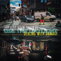 Dealing with Damage: Use The Daylight -LP