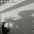Waking Dreams: Sliding Lines - CD
