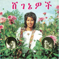 Aselefech Ashine: Beauties -LP