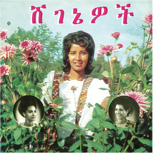 Aselefech Ashine: Beauties -LP