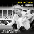 Denes Varjon: Violin Sonatas Nos 2, 4 & 9 Kreutzer - COMPACT DISCS