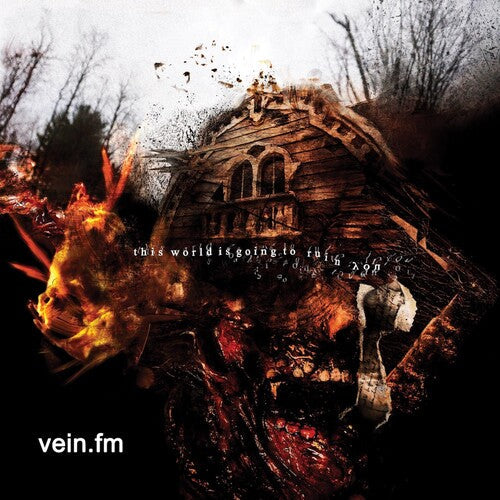 Vein.Fm: This World Is Going to Ruin You - (VINYL LP)