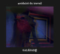 Accident Du Travail: Galejade - COMPACT DISCS