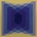 The Warlocks: Exp (Experimental Burnout Music) -LP
