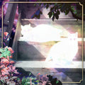 Scary Jokes: Retinal Bloom -LP