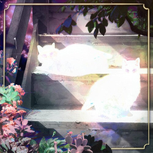 Scary Jokes: Retinal Bloom -LP