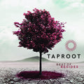 Taproot: Best Of Besides - COMPACT DISCS