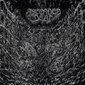 Ascended Dead: Evenfall Of The Apocalypse - Silver/black/white Splatter - (VINYL LP)