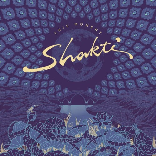 Shakti: This Moment -LP