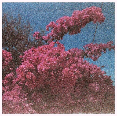 Elisabeth Klinck: Picture A Frame -LP