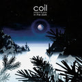 Coil: Musick To Play In The Dark - Horizon - (VINYL LP)