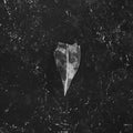 Bees Made Honey in the Vein Tree: Aion - COMPACT DISCS