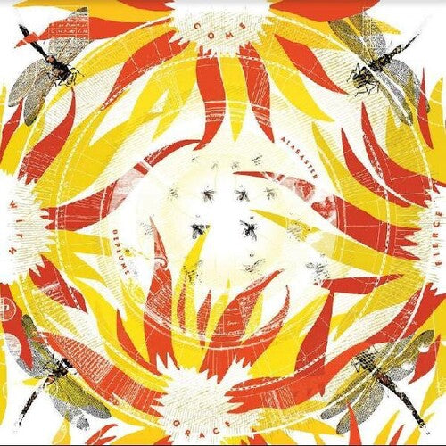 Alabaster Deplume: Come With Fierce Grace - (VINYL LP)