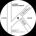DJ Steaw: Colour Of Mind - 12-INCH SINGLE
