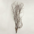 Mary Jane Leach: Woodwind Multiples -LP