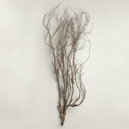 Mary Jane Leach: Woodwind Multiples -LP