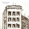 Pineapple Thief: 10 Stories Down -LP