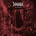 Dungeon: Into The Ruins -LP