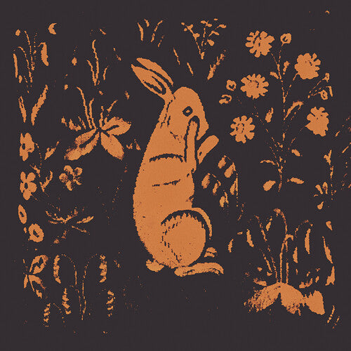 Sadness: Rabbit Album -LP