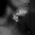 Holding Absence: Holding Absence -LP