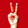 Bloodthirsty Butchers: birdy - (VINYL LP)