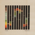 In the Pines: Painting By Numbers - Orange -LP