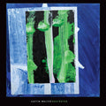 Justin Walter: Destroyer -LP