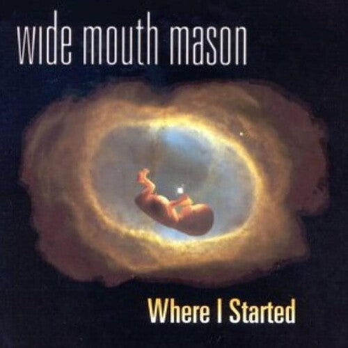 Wide Mouth Mason: Where I Started -LP