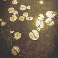 Northwoods Improvisers: Fanfares - CD