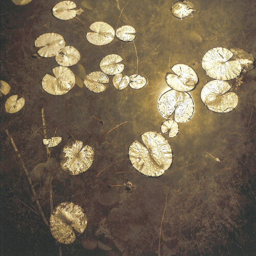 Northwoods Improvisers: Fanfares - CD