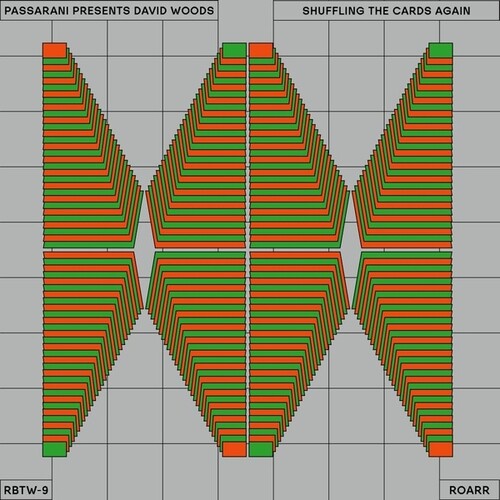 Passarani, David / Presents Woods: Shuffling The Cards Again -LP