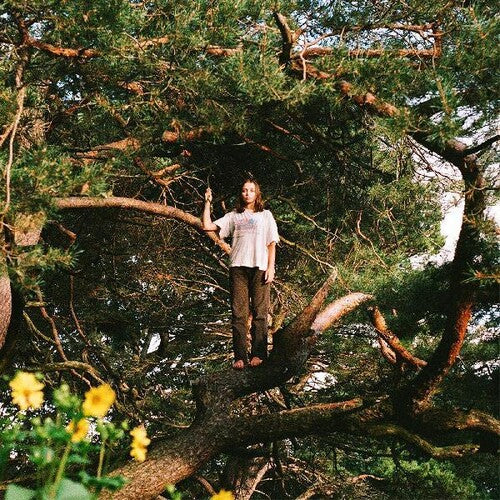 Packs: Melt The Honey -LP