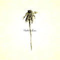 Patrick Watson: Wooden Arms -LP