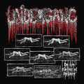 Undergang: De Syv Stadier Af Ford?ae?rv - COMPACT DISCS