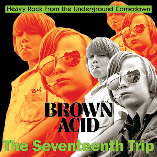 Various Artists: Brown Acid - The Seventeenth Trip (Various Artists) -LP