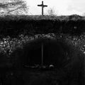 Caged: From Roving About The Earth - (VINYL LP)