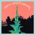 Village of Spaces: That's Understanding - COMPACT DISCS
