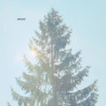 Sonlife: Sonlife - (VINYL LP)